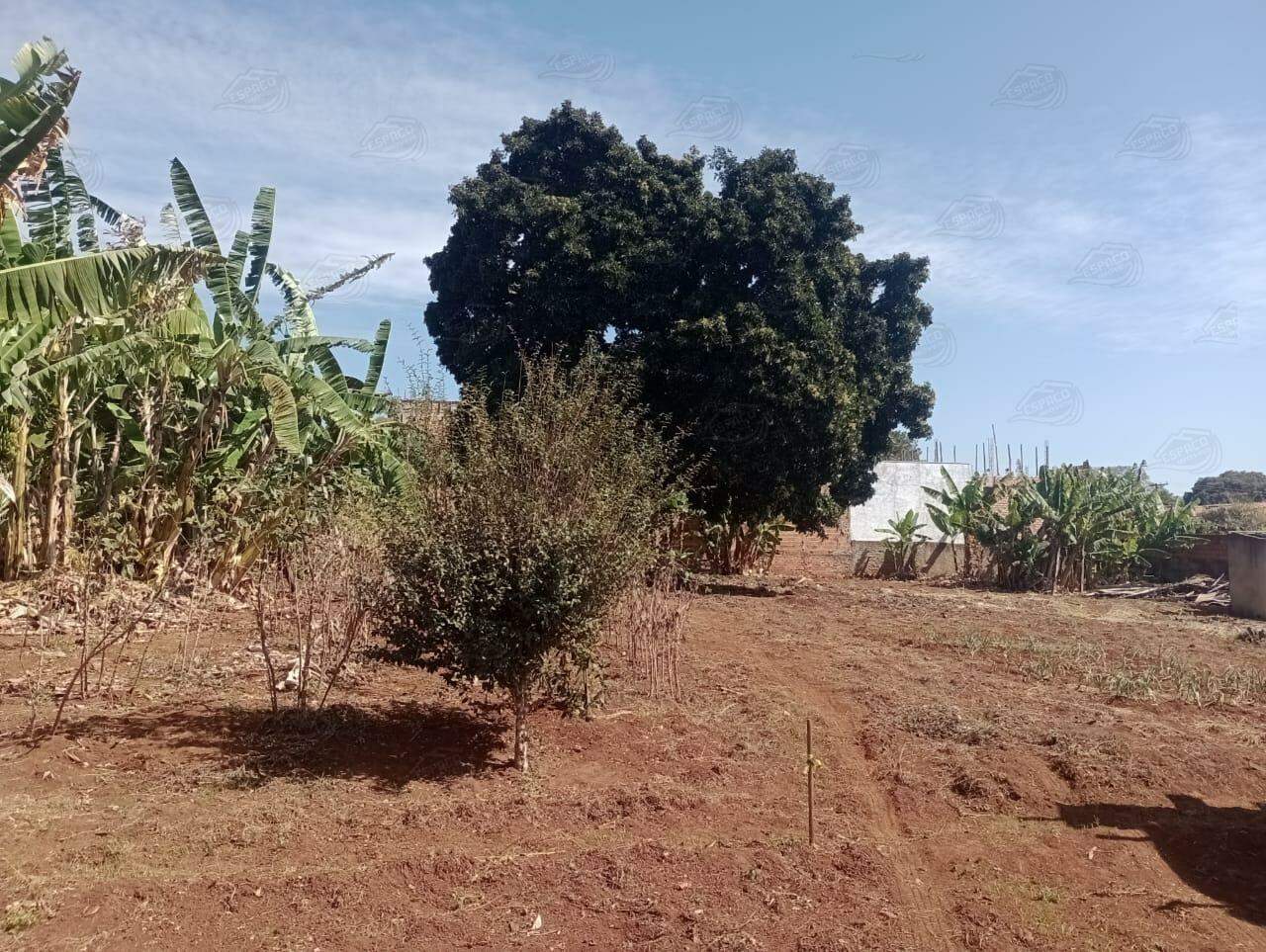 Ponto para aluguel no Vila Osório: 