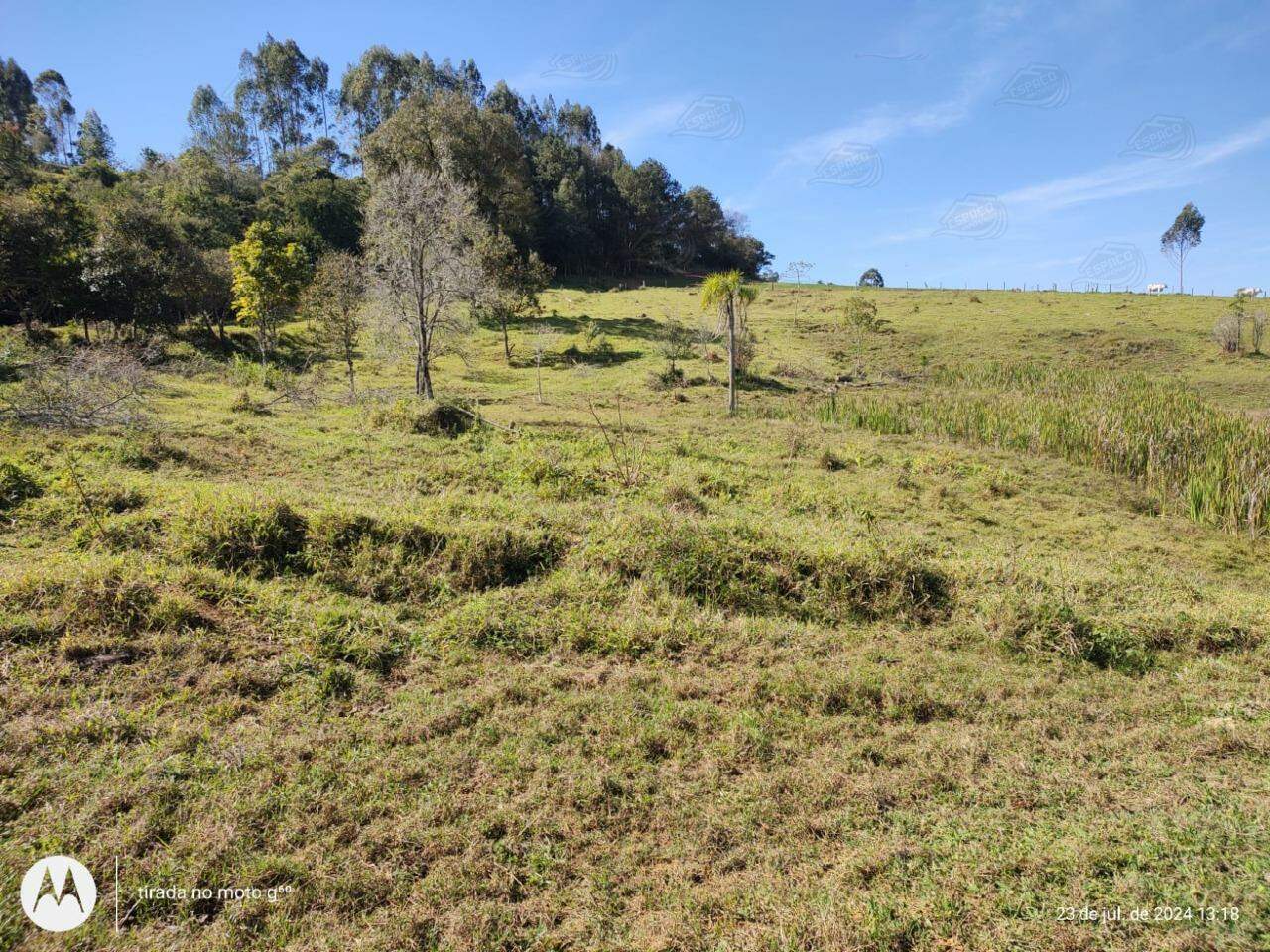 Chácara à venda no TUCUNDUVA: 