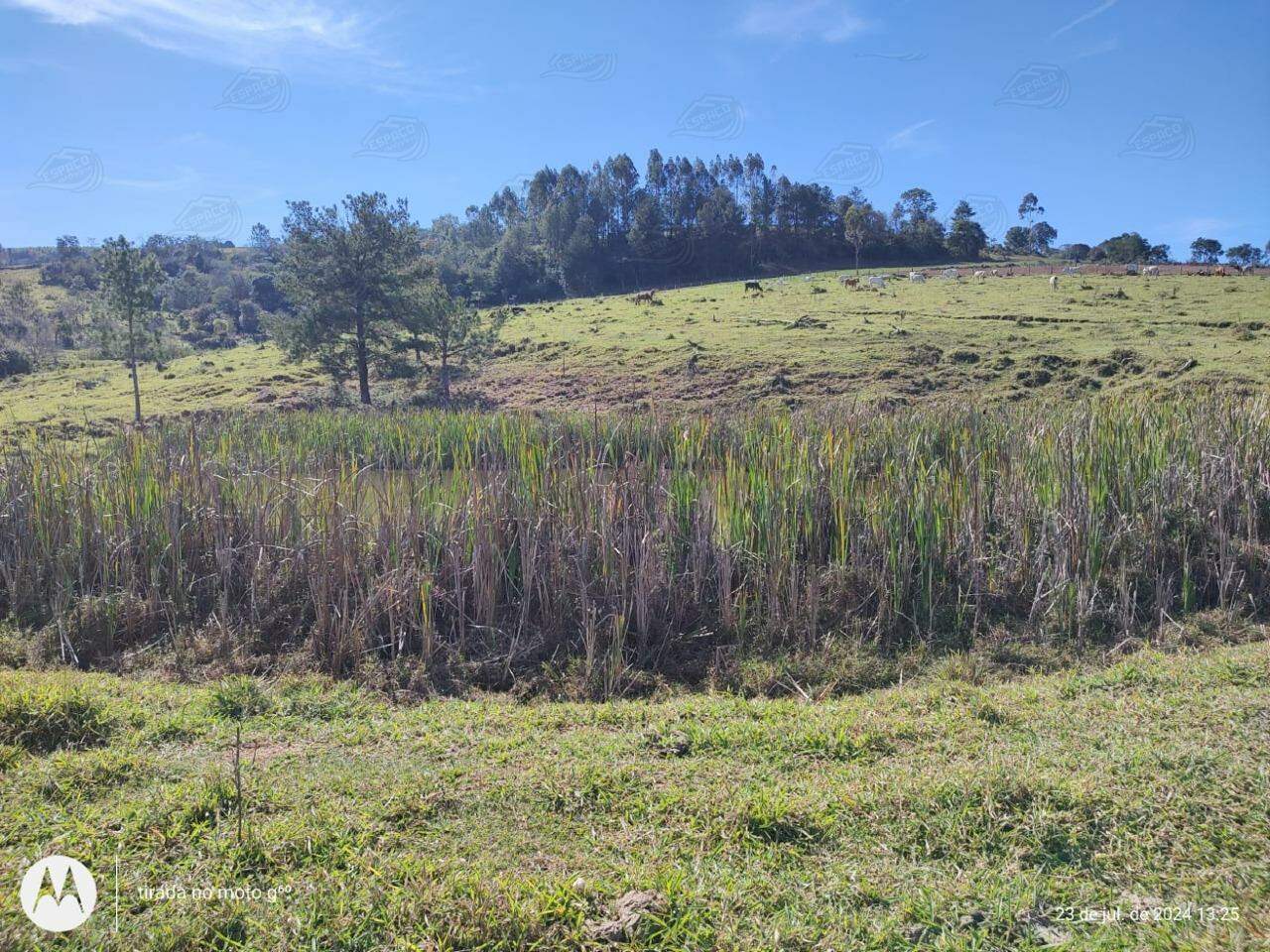 Chácara à venda no TUCUNDUVA: 
