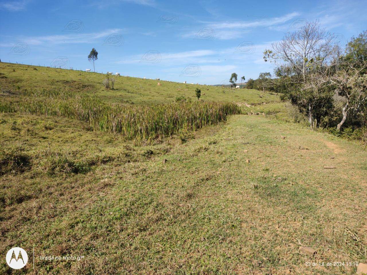 Chácara à venda no TUCUNDUVA: 