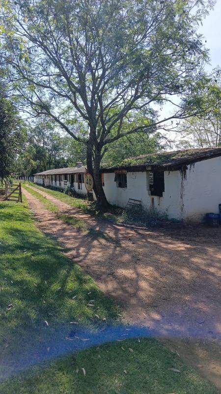 Chácara à venda no BAIRRO DO HERVAL: 