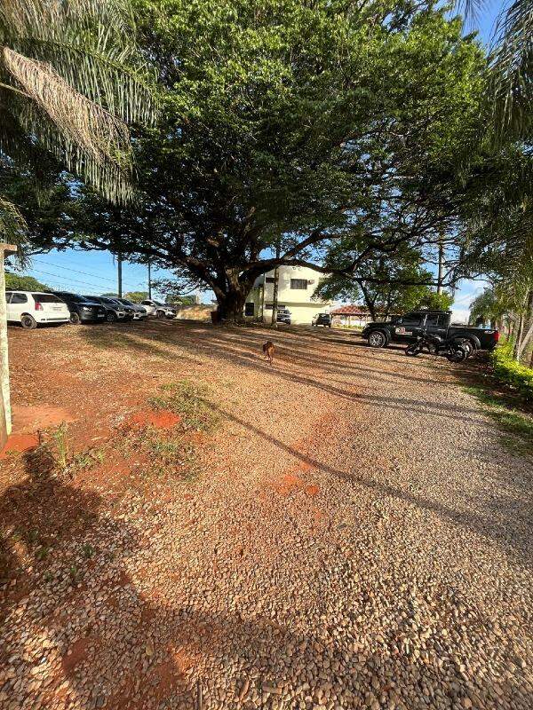 Barracão à venda no Jardim Pauliceia: 