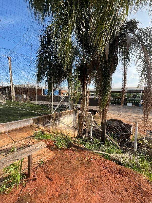 Barracão à venda no Jardim Pauliceia: 