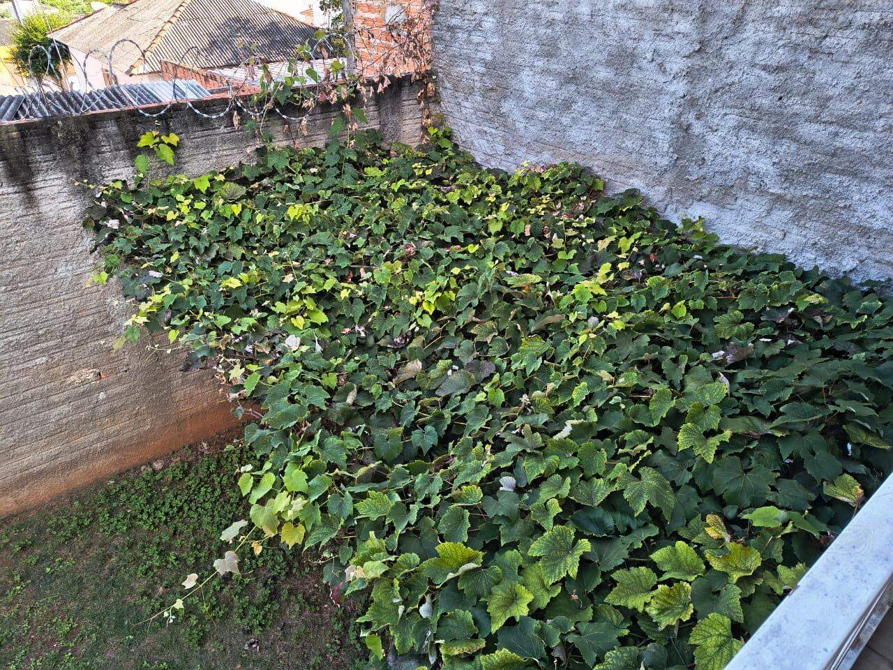 Casa à venda no Centro: quintal