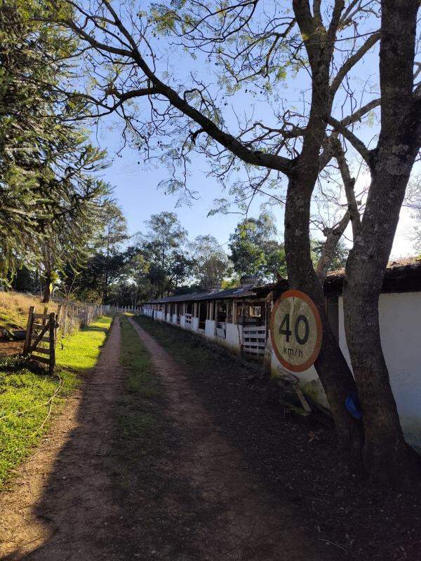 Chácara à venda no BAIRRO DO HERVAL: 