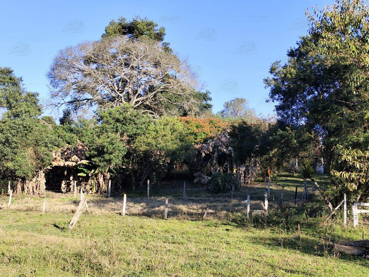 Chácara à venda no BAIRRO DO HERVAL: 