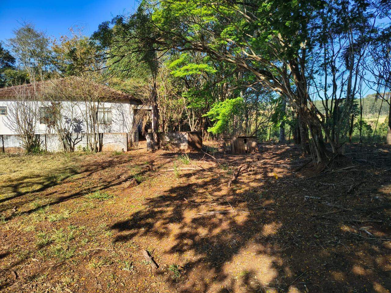 Sítio à venda no REIANÓPOLIS: 