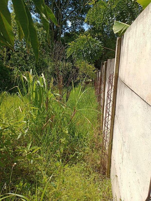 Chácara à venda no Bairro Pedra Branca: 