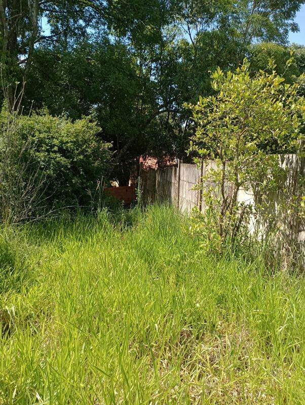 Chácara à venda no Bairro Pedra Branca: 