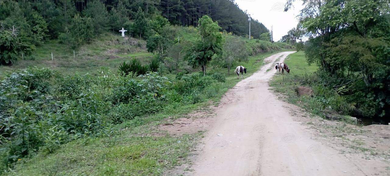 Fazenda à venda no MORRO AGUDO : 