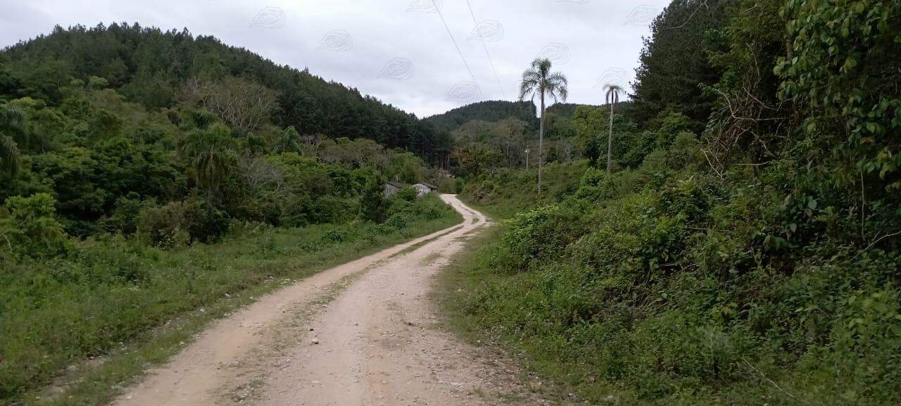 Fazenda à venda no MORRO AGUDO : 
