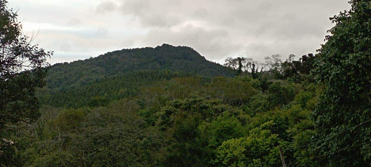 Fazenda à venda no MORRO AGUDO : 