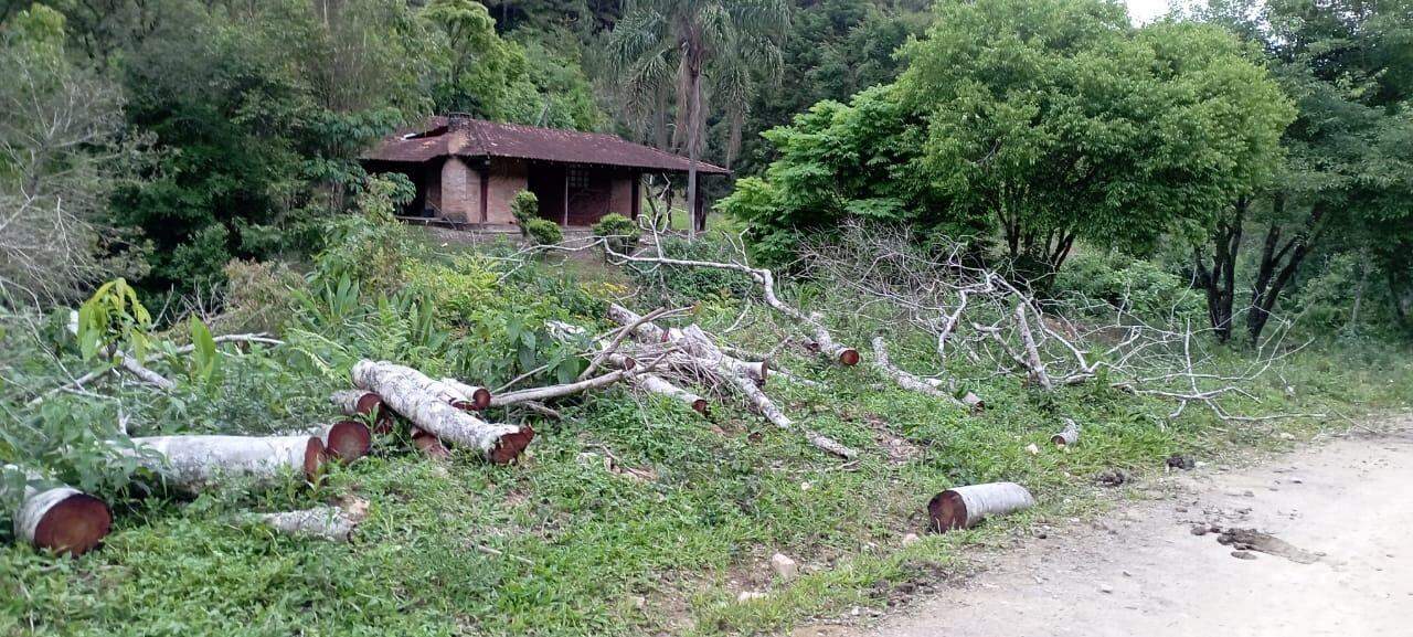 Fazenda à venda no MORRO AGUDO : 