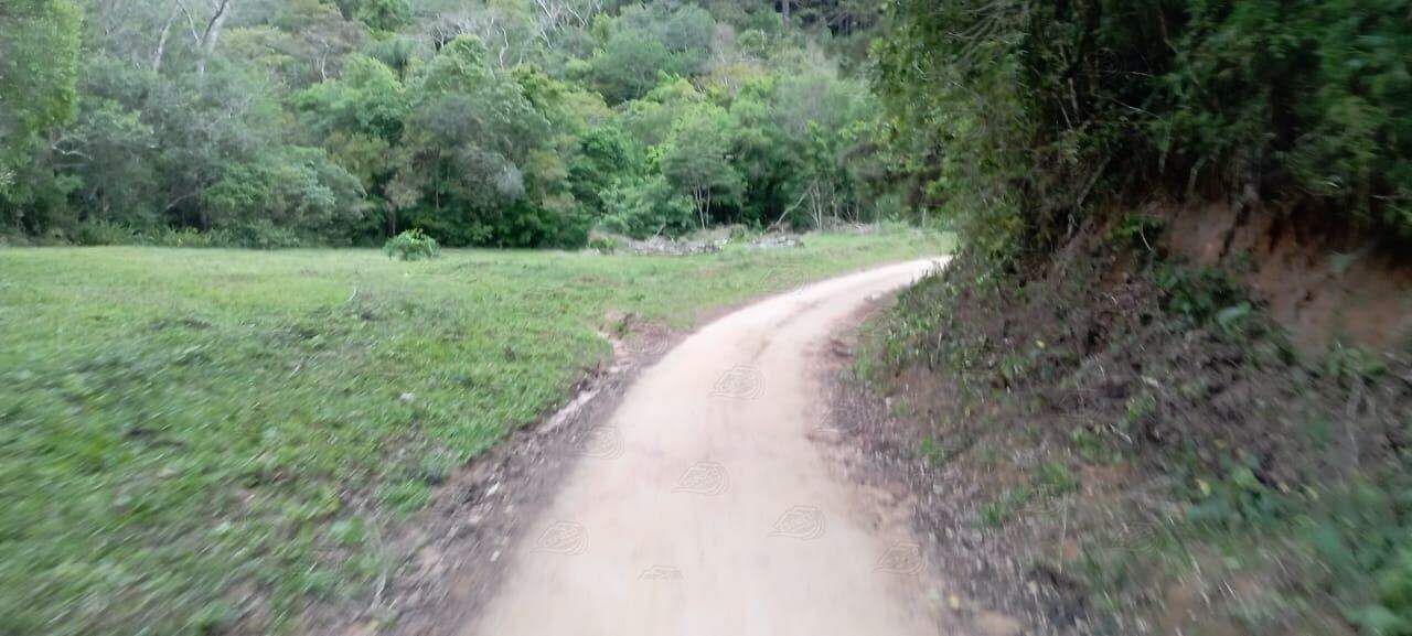 Fazenda à venda no MORRO AGUDO : 