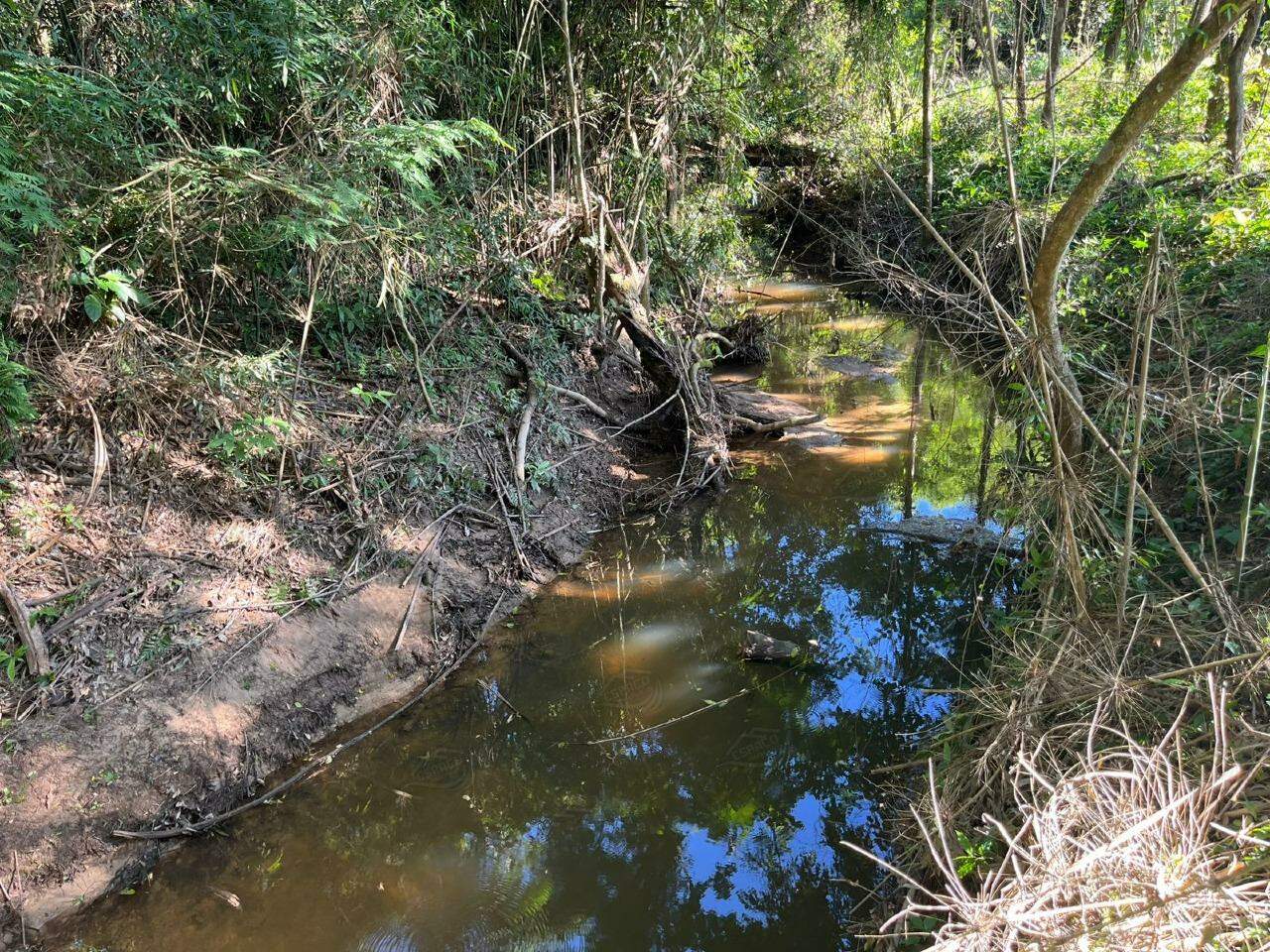 Chácara à venda no BAIRRO DO RODEIO: 