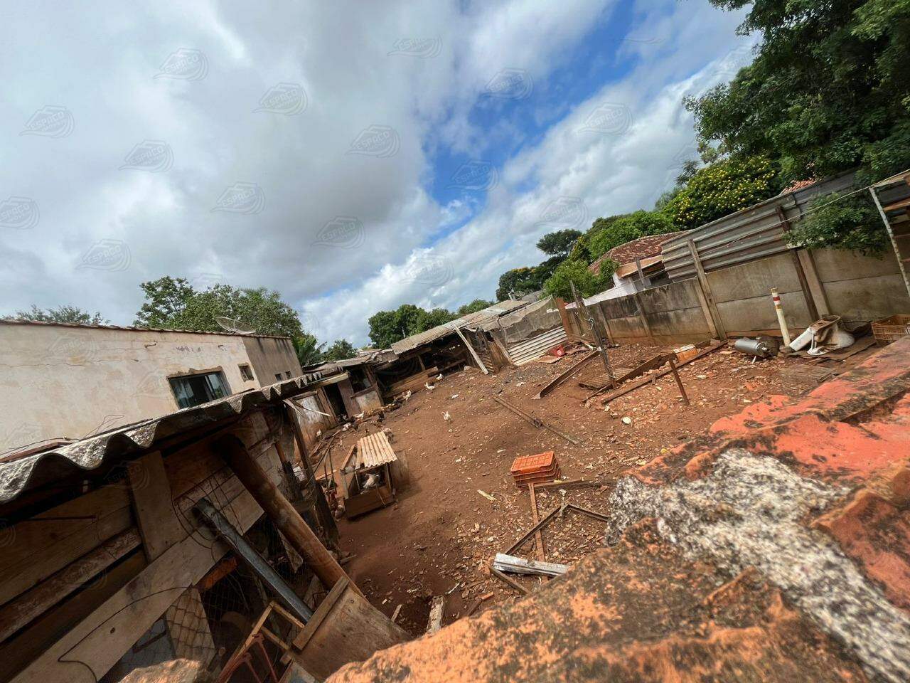 Terreno à venda no Santa Terezinha: 