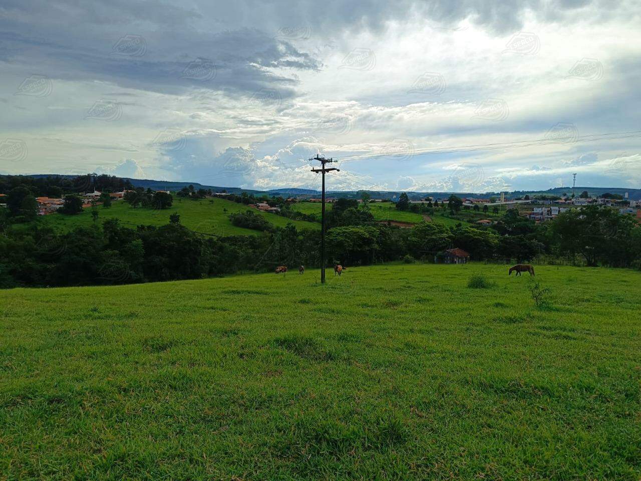 Chácara à venda no Sengés: 