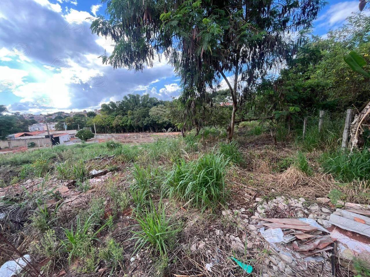Terreno à venda no Jardim Bequinha: 