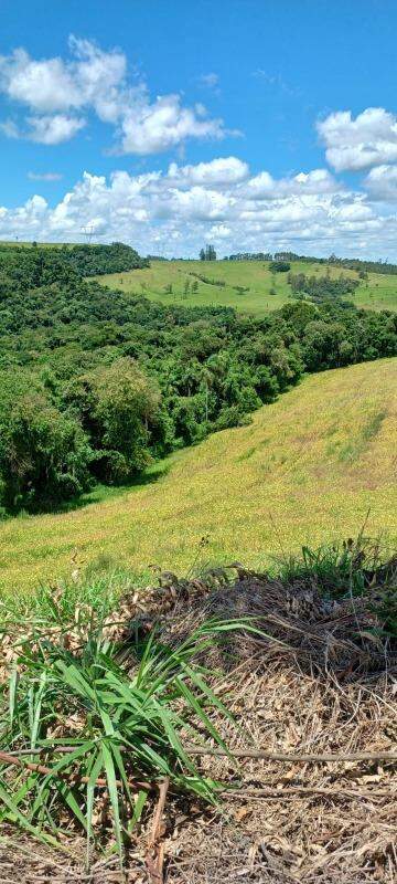 Sítio à venda no São José da Boa Vista: 