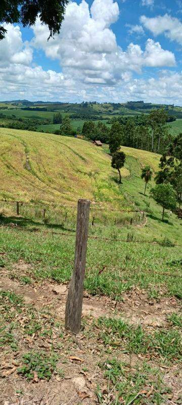 Sítio à venda no São José da Boa Vista: 