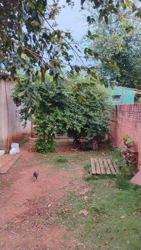 Chácara à venda no Bairro Pedra Branca: 