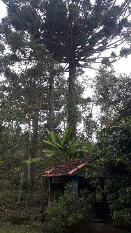 Chácara à venda no BOM SUCESSO DE ITARARÉ: 