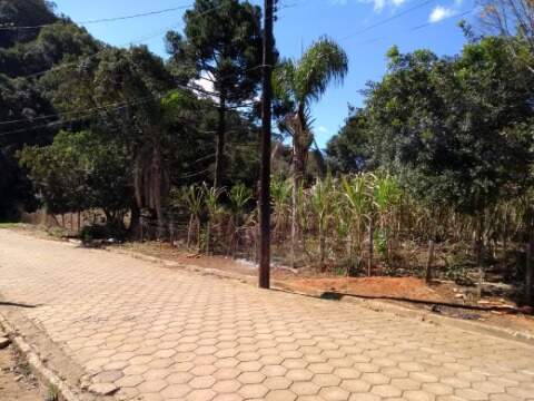 Terreno à venda no CENTRO: Foto 03