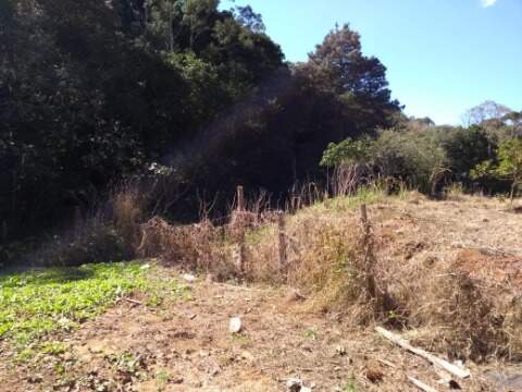 Terreno à venda no CENTRO: Foto 06