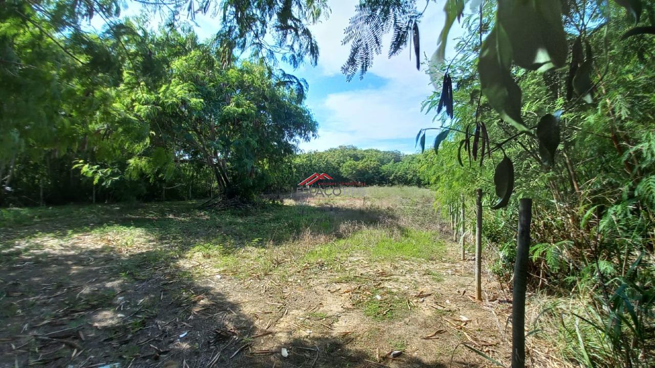 Terreno à venda no Marina: 