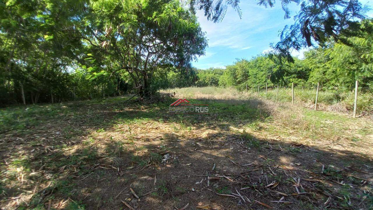 Terreno à venda no Marina: 