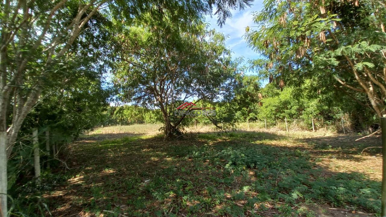 Terreno à venda no Marina: 