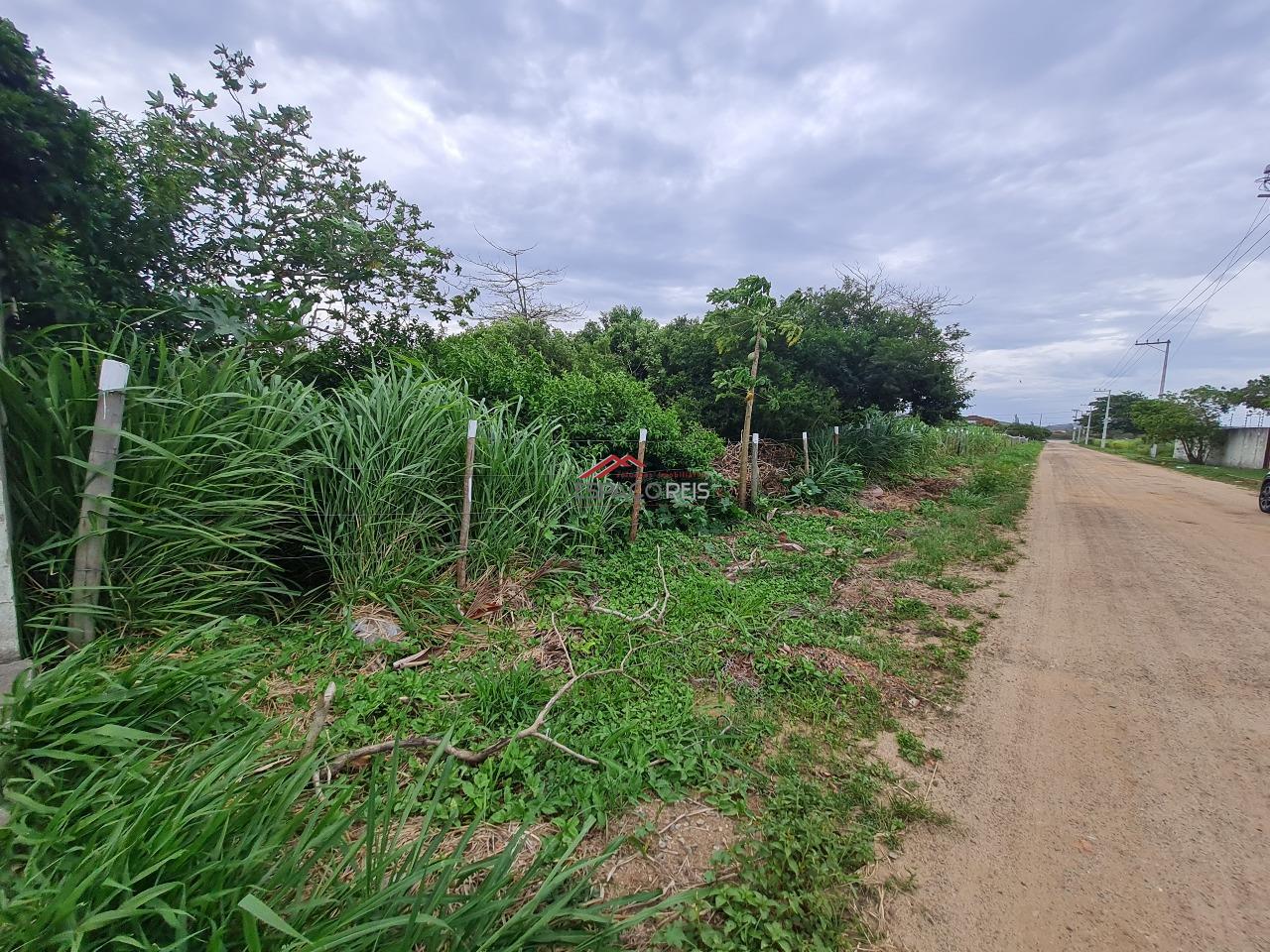 Terreno à venda no Marina: 