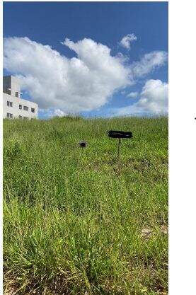 Terreno, 360 m² - Foto 4