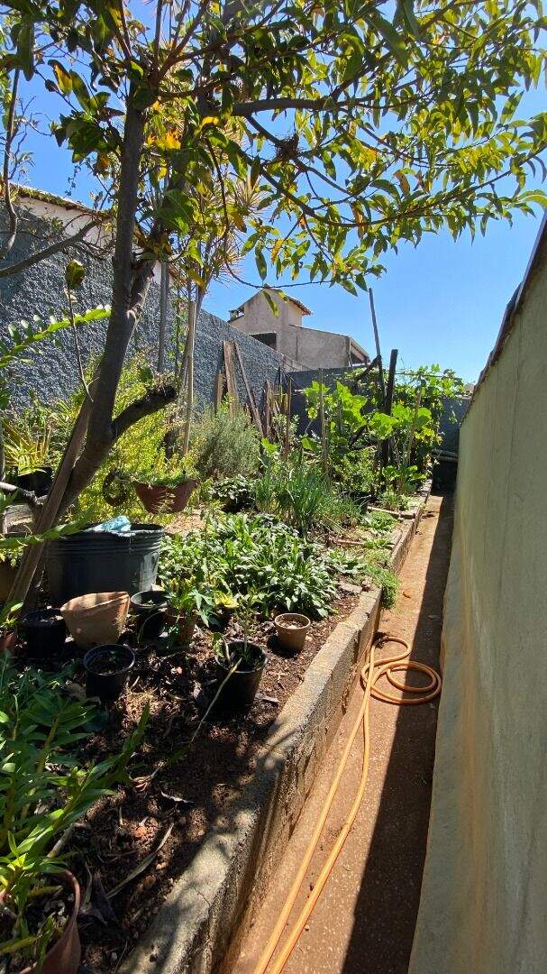 Casa, 4 quartos, 329 m² - Foto 15