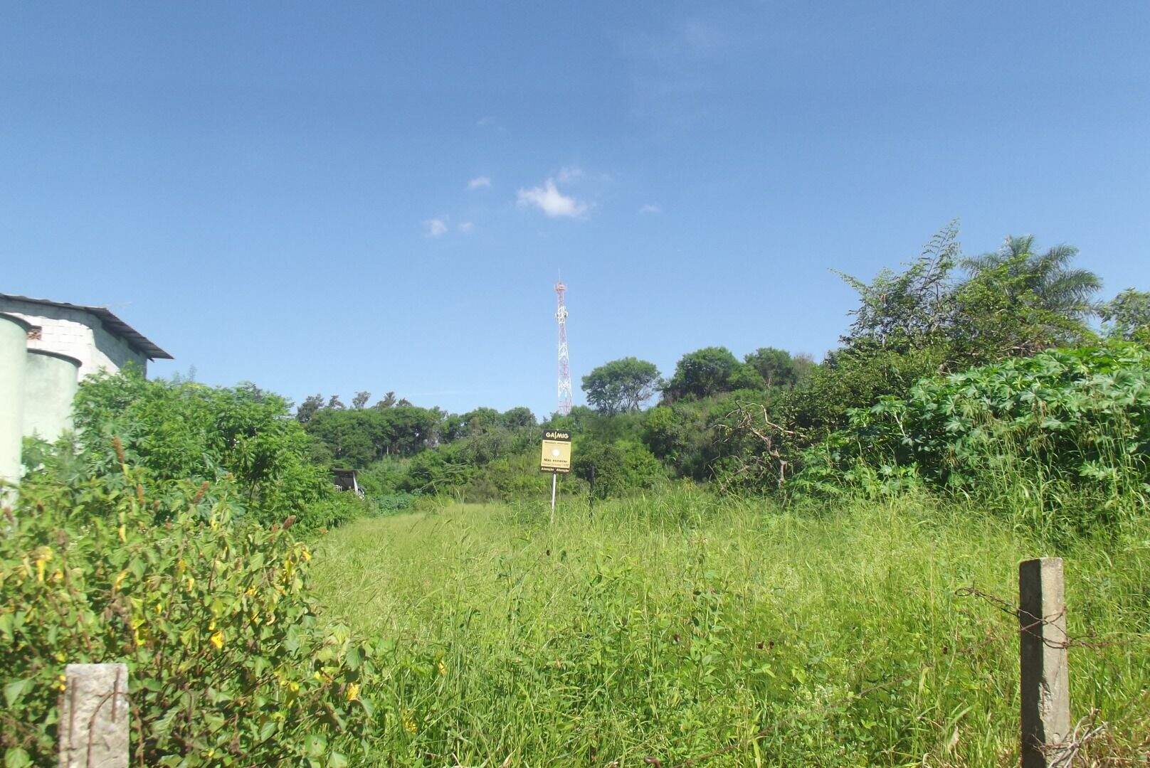 Terreno, 4 hectares - Foto 19