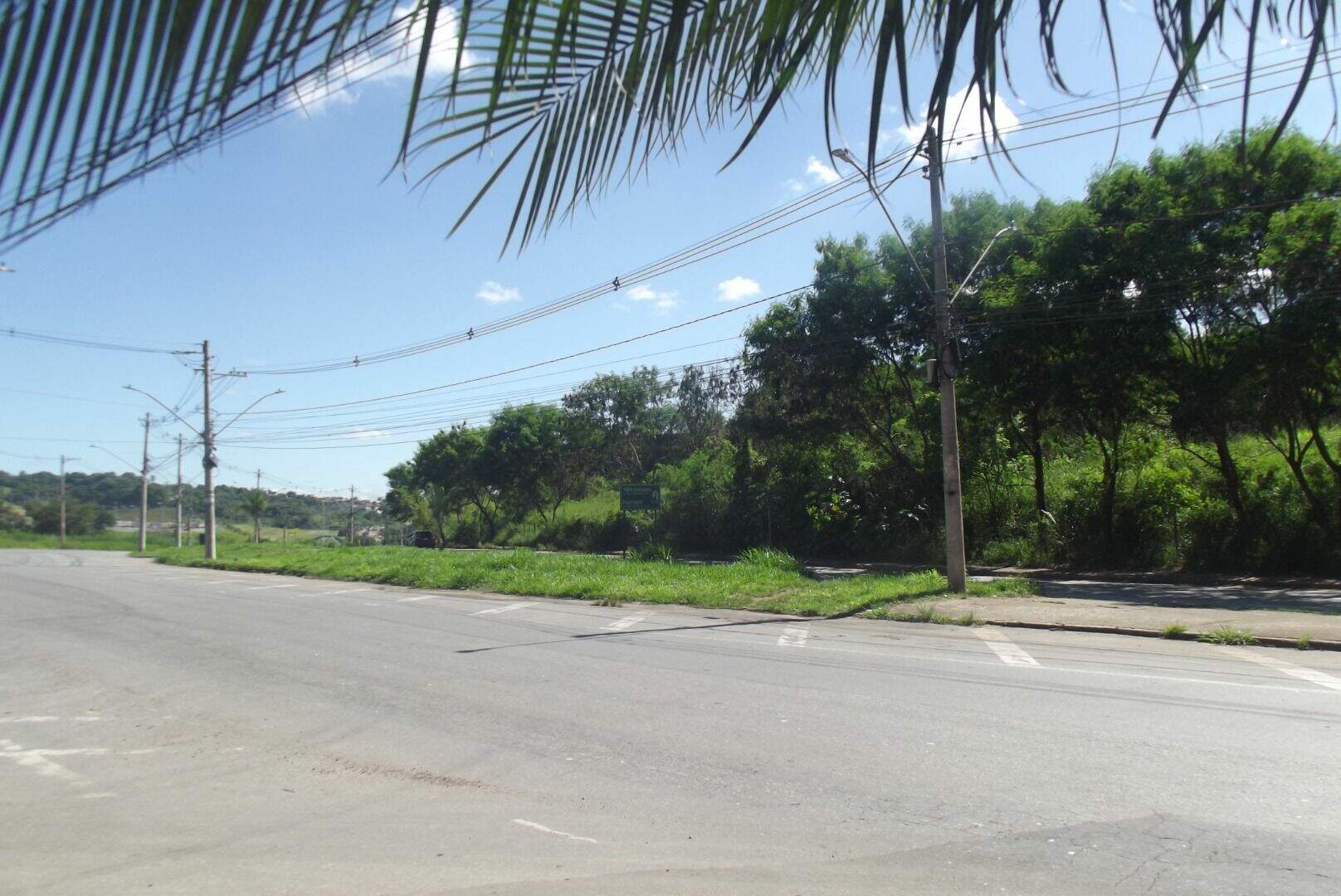 Terreno, 4 hectares - Foto 7
