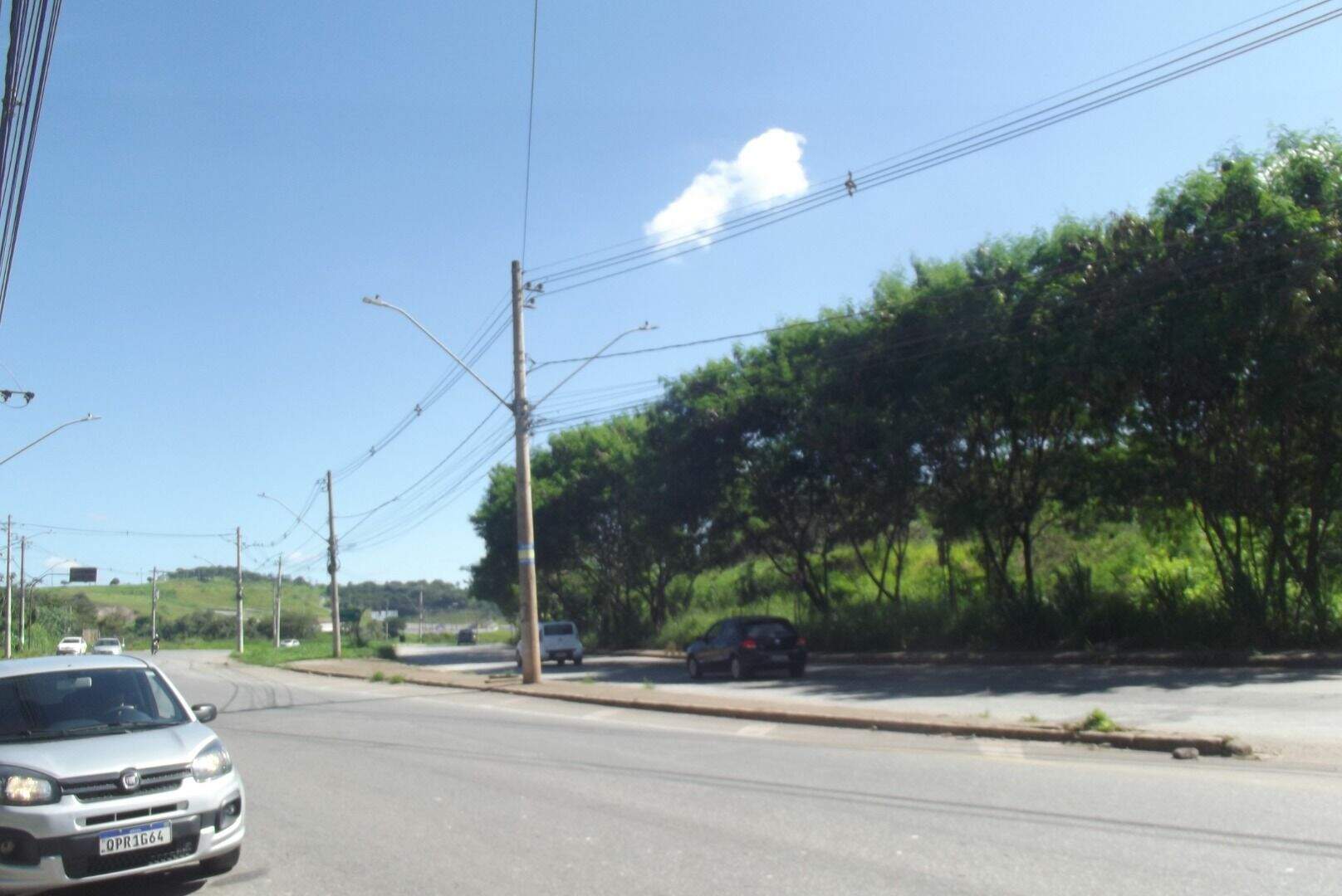Terreno, 4 hectares - Foto 8