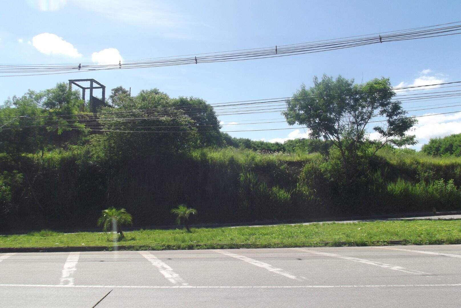 Terreno, 4 hectares - Foto 10
