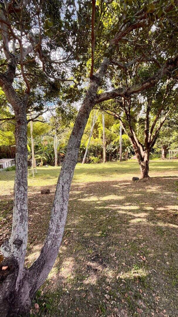 Chácara, 4 quartos, 6000 m² - Foto 14