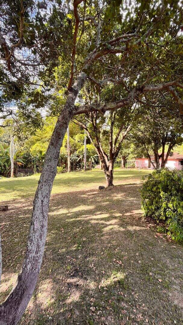 Chácara, 4 quartos, 6000 m² - Foto 15