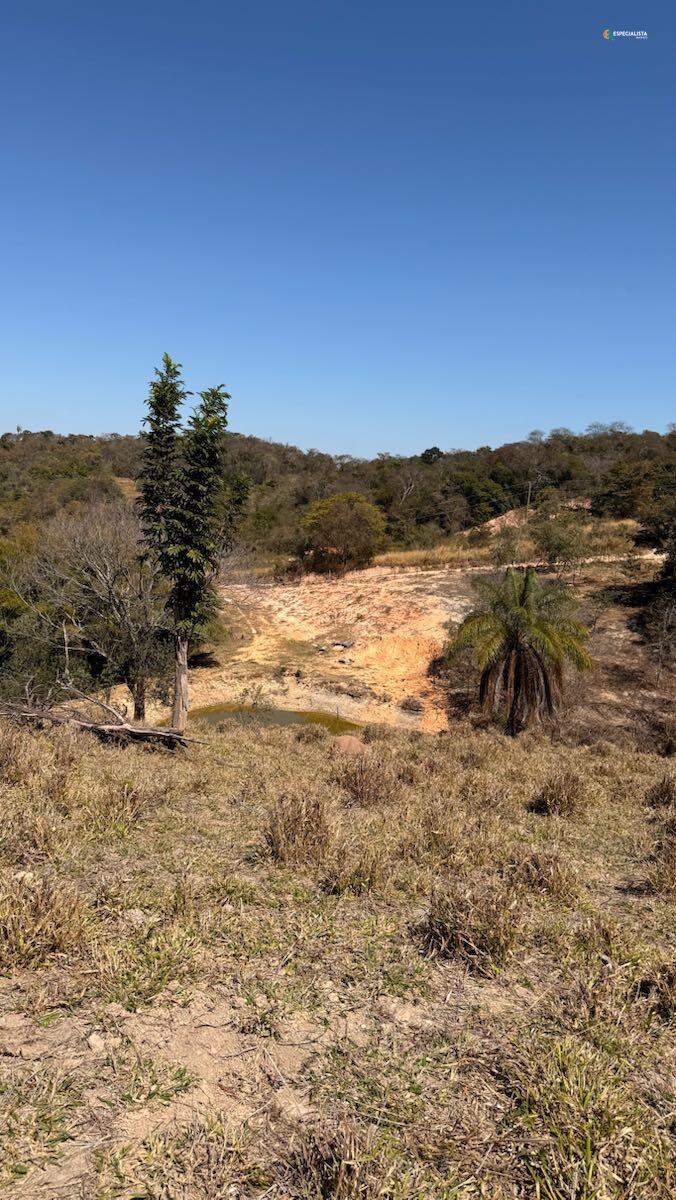 Terreno, 8000 m² - Foto 4