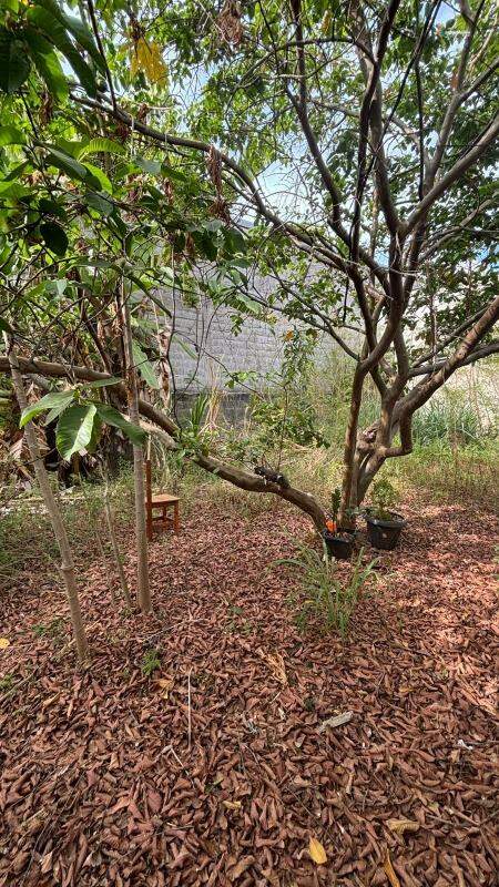 Casa, 2 quartos, 160 m² - Foto 9