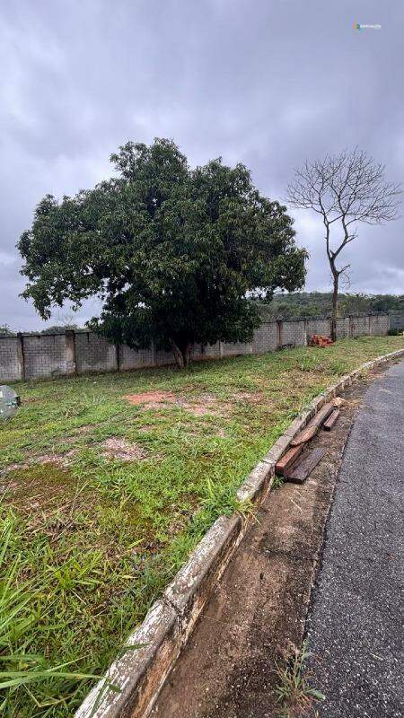 Terreno, 646 m² - Foto 4