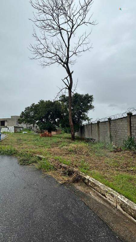 Terreno, 646 m² - Foto 6