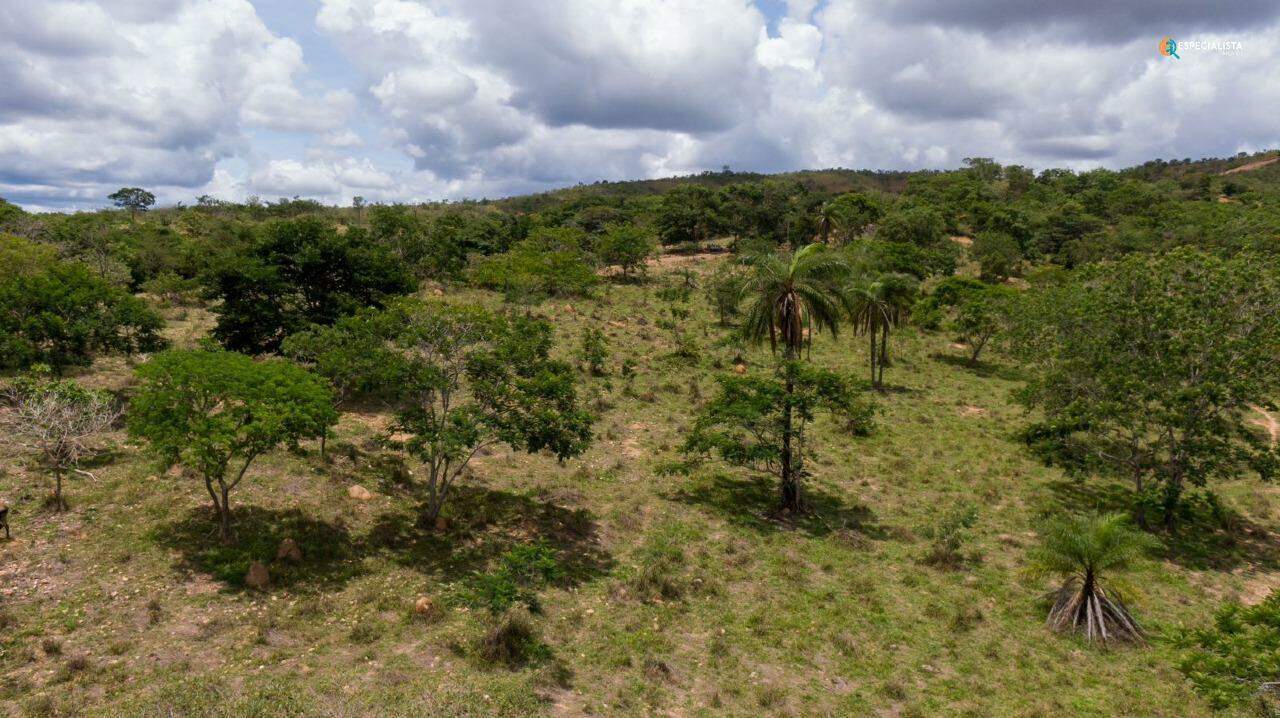 Terreno, 20000 m² - Foto 1