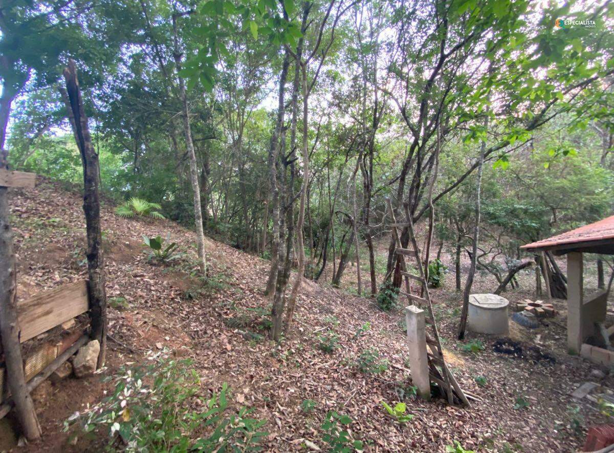 Terreno, 2500 m² - Foto 13