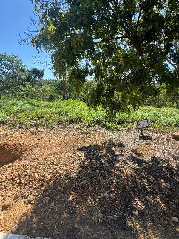 Terreno, 1000 m² - Foto 4