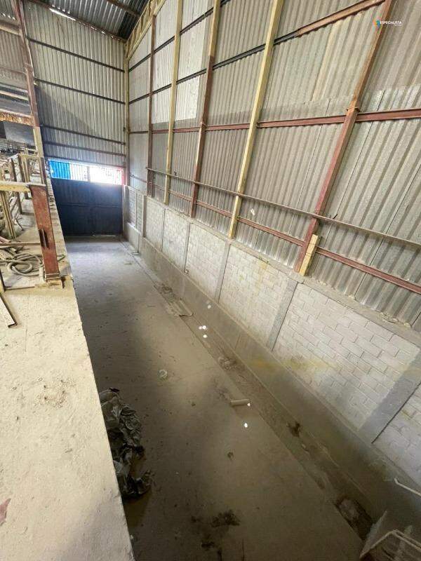 Depósito-Galpão, 3500 m² - Foto 7