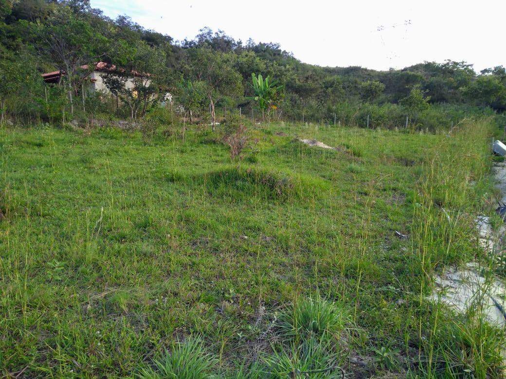 Terreno, 1000 m² - Foto 5