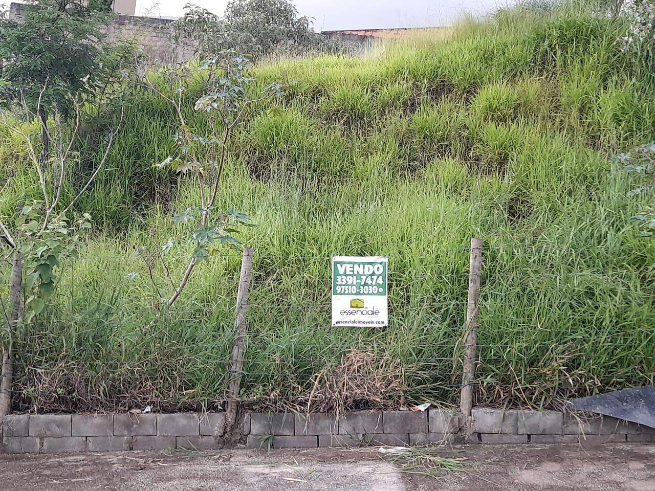 Terreno à venda, 500m² - Foto 5